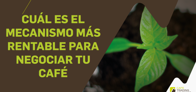 Cuál es el Mecanismo Más Rentable para Negociar Tu Café