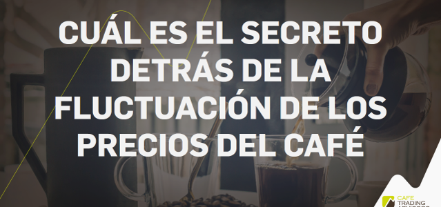 Cuál es el Secreto Detrás de la Fluctuación de los Precios del Café