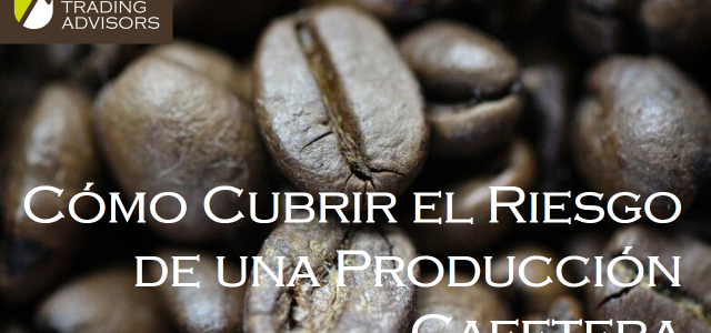 Cómo Cubrir el Riesgo de una Producción Cafetera