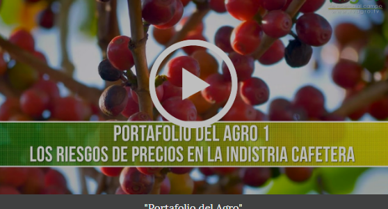 Los Riesgos de Precios en la Industria Cafetera – TvAgro