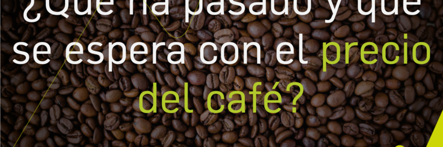 Precio del Café: ¿Qué ha pasado y qué se espera?