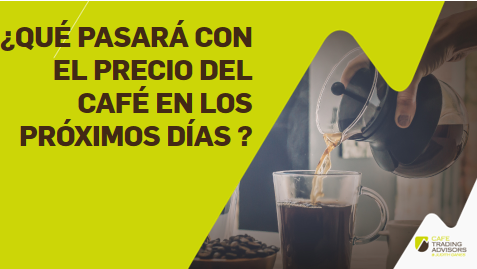 ¿Qué Pasará con el Precio del Café en los Próximos Días?