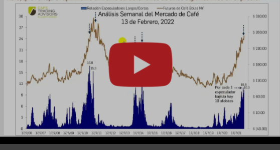 ¿Por qué se Desplomó así el Precio del Café?