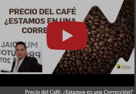 Precio del Café: ¿Estamos en una Corrección?