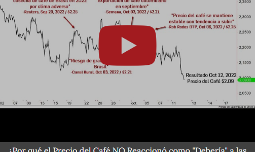 ¿Por qué el Precio del Café NO Reaccionó como “Debería” a las Noticias de Déficit?