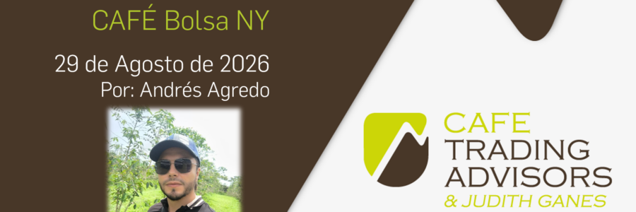 Protegido: Análisis Técnico del Café, 29 de Agosto, 2026
